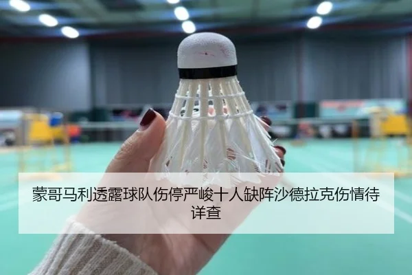 蒙哥马利透露球队伤停严峻十人缺阵沙德拉克伤情待详查